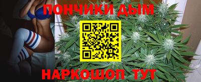 стаф Обь