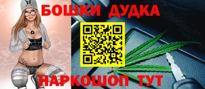 стаф Обь
