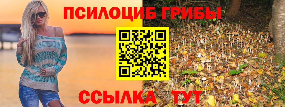 Галлюциногенные грибы Psilocybe Ростов Великий