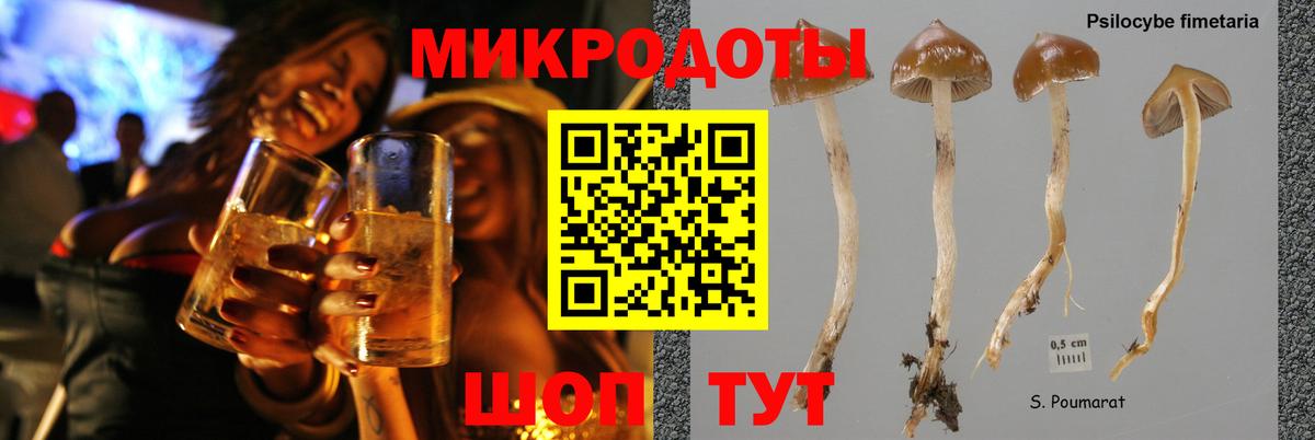 Галлюциногенные грибы мухоморы  Галлюциногенные грибы ЛСД  Вход с VPN  Ростов Великий 